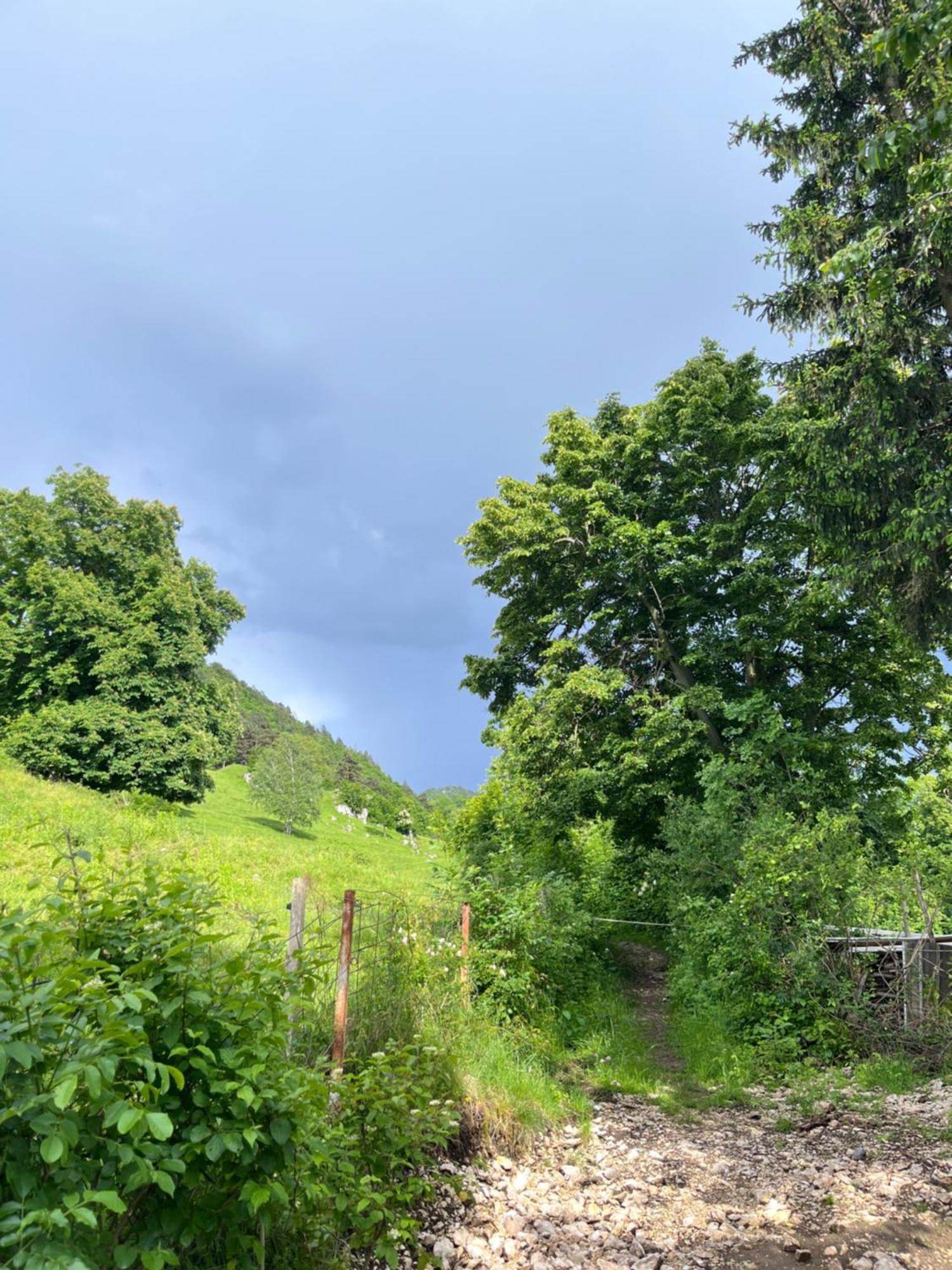 Cottage Zirovnica Zewnętrze zdjęcie