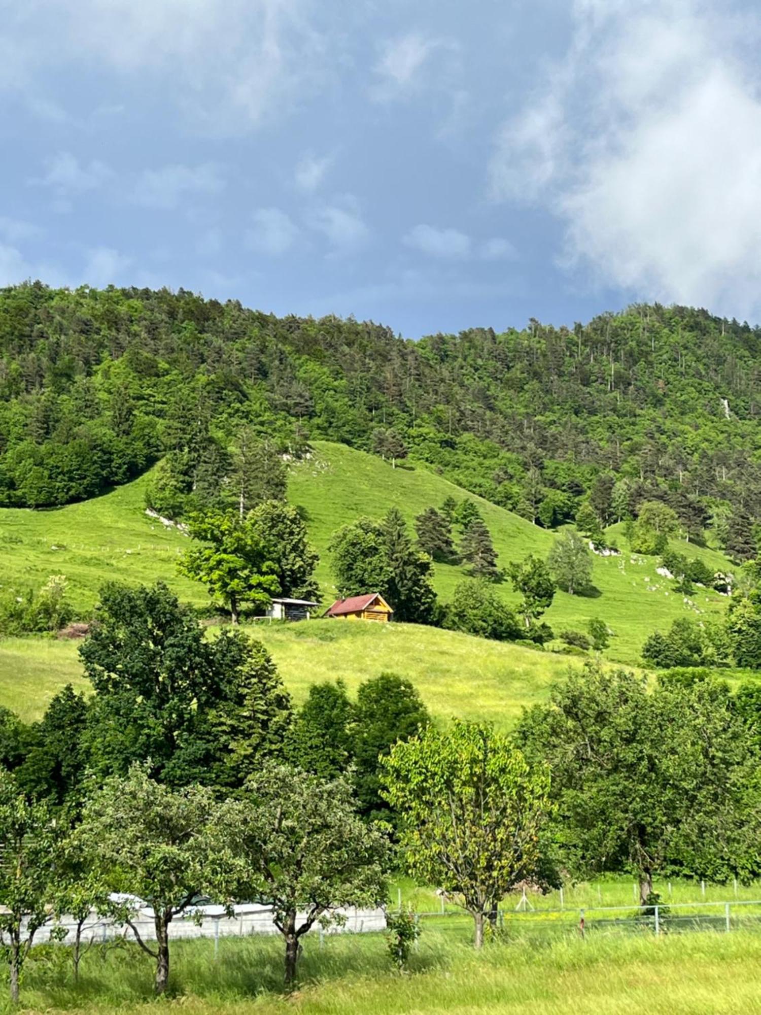 Cottage Zirovnica Zewnętrze zdjęcie