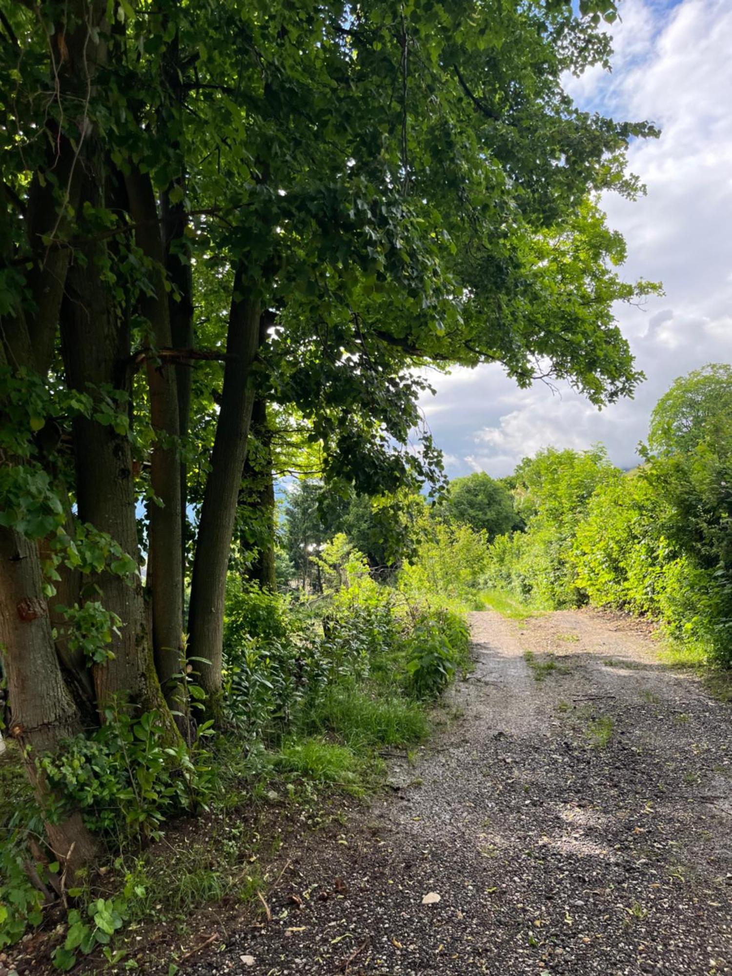 Cottage Zirovnica Zewnętrze zdjęcie